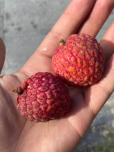 Load image into Gallery viewer, Lychee | No Mai Chi | Box (2KG)