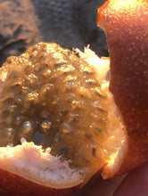 Load image into Gallery viewer, Passionfruit | Sweet Granadilla Box - 2KG