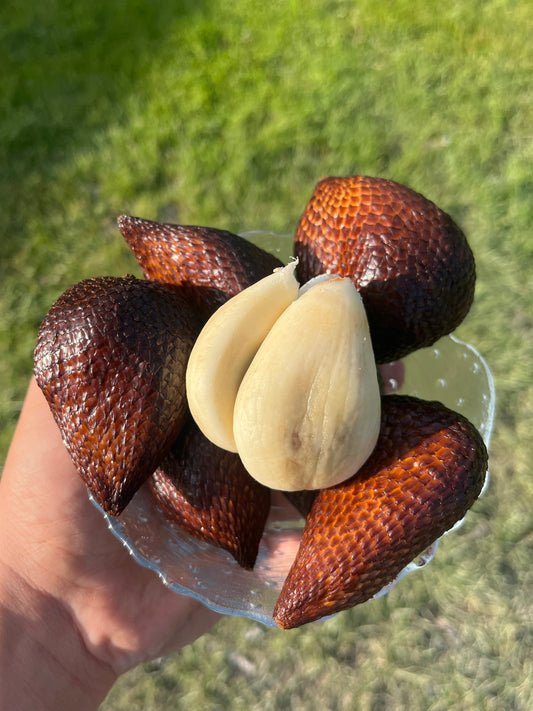 Snake Fruit - Salak