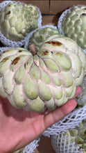 Load image into Gallery viewer, Sugar Apple | Ashta | Annona Squamosa | Egypt | Box 4KG
