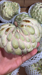 Sugar Apple | Ashta | Annona Squamosa | Egypt | Box 4KG