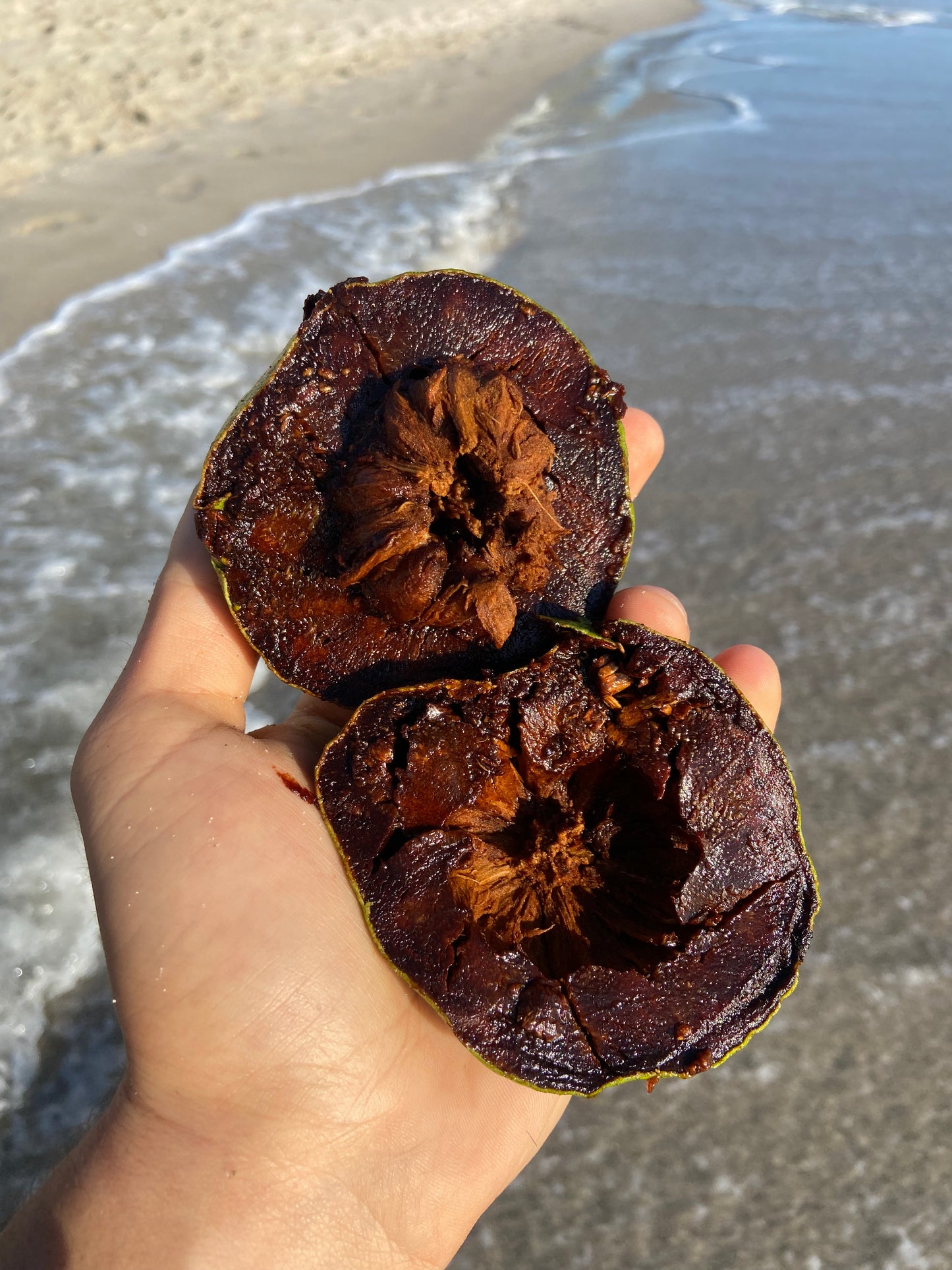 BLACK SAPOTE | CHOCOLATE PUDDING FRUIT | SMALL BOX 5 LBS