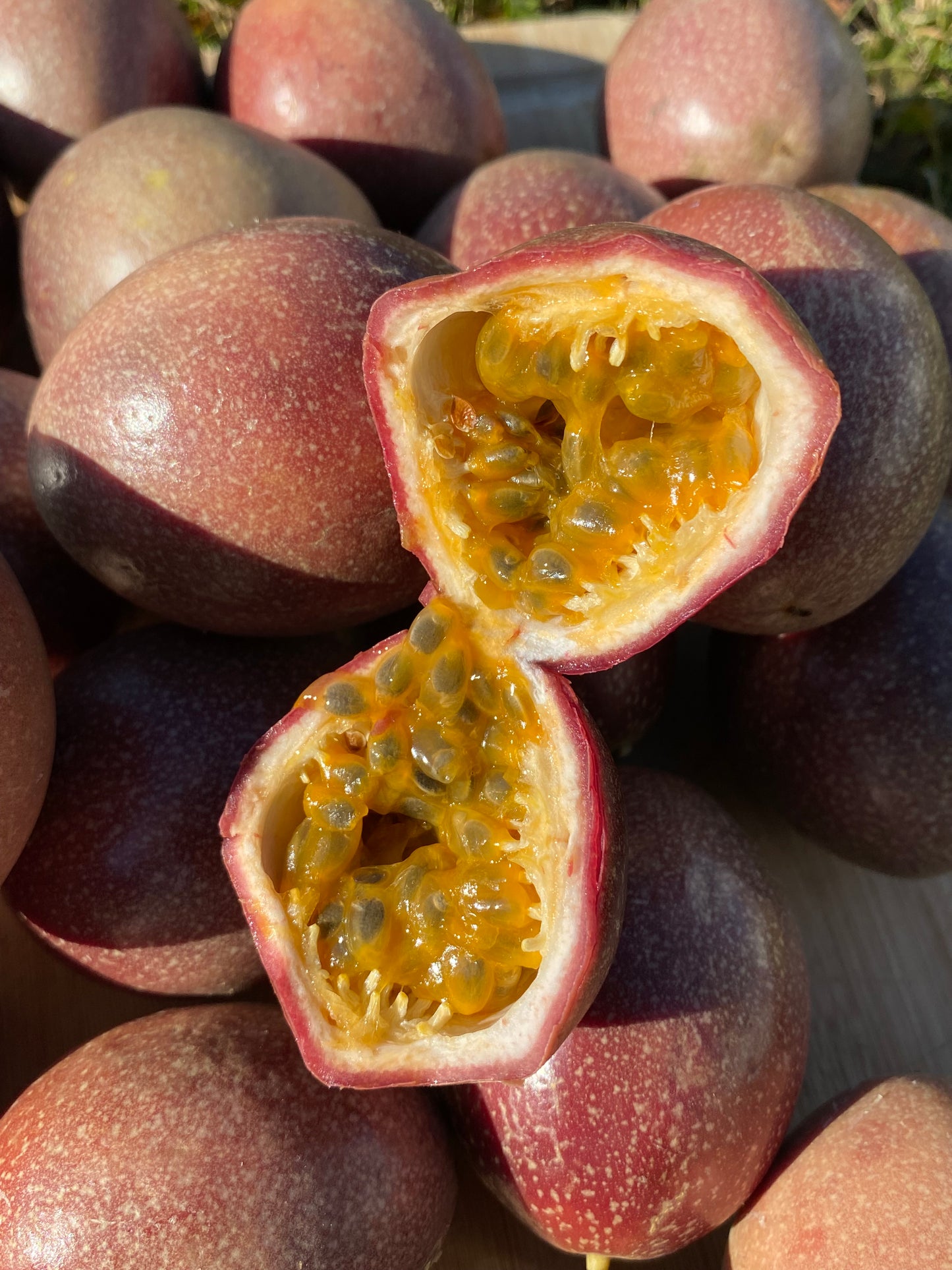 Passionfruit | Purple Pr *New* | Box 2kg (~20-24 Fruits)