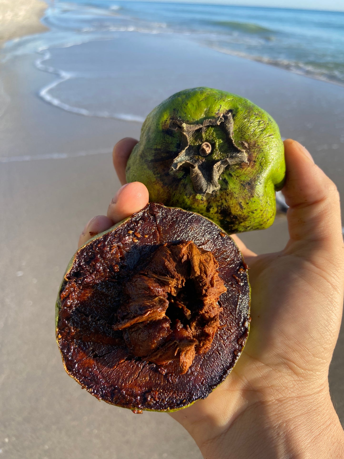 BLACK SAPOTE | CHOCOLATE PUDDING FRUIT | SMALL BOX 5 LBS