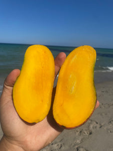 Mango | Maha Chanok | Box (3-3.5lbs)