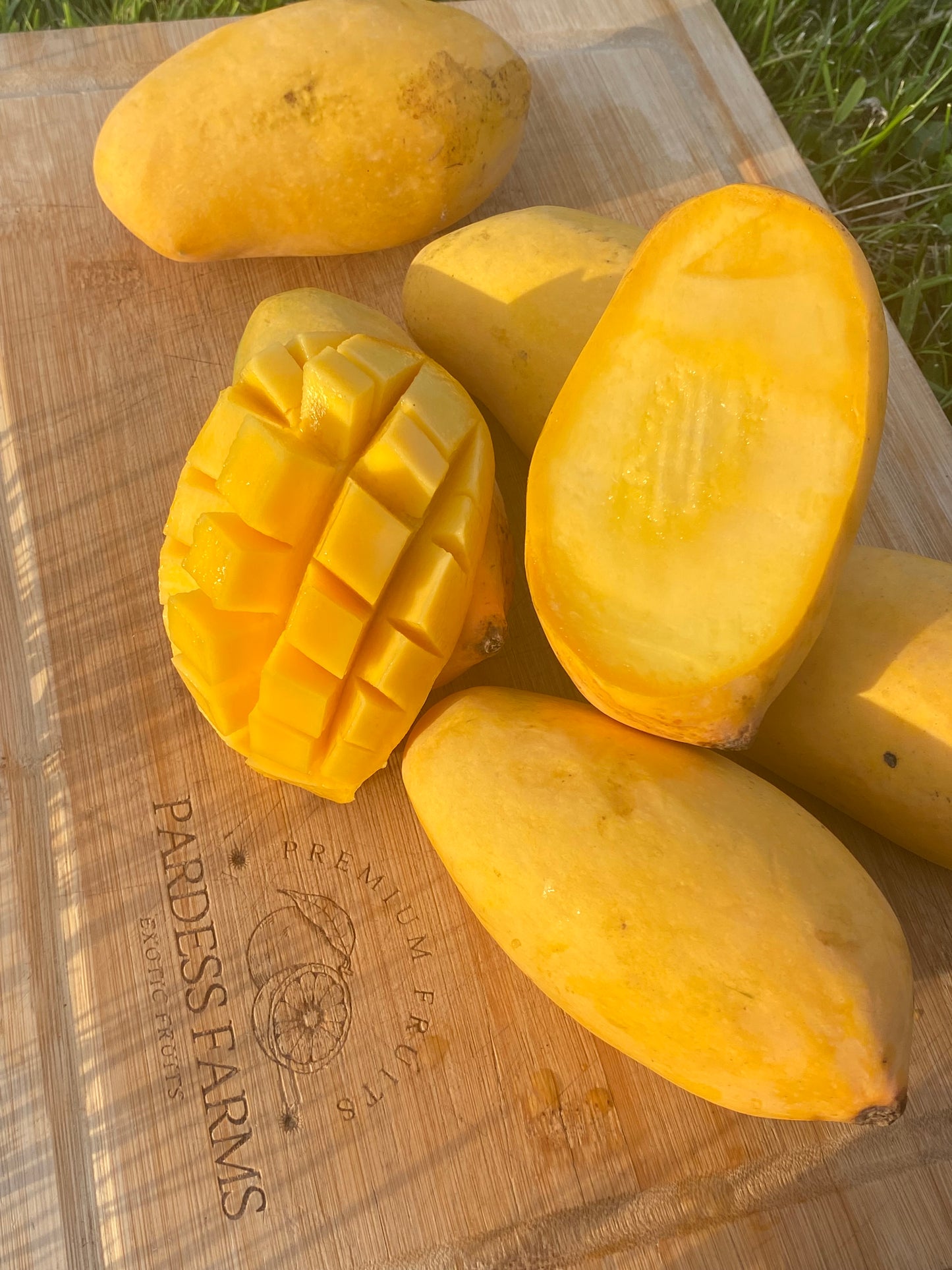 Mango | Pakistani Sindrhi Box of 4-7 mangos