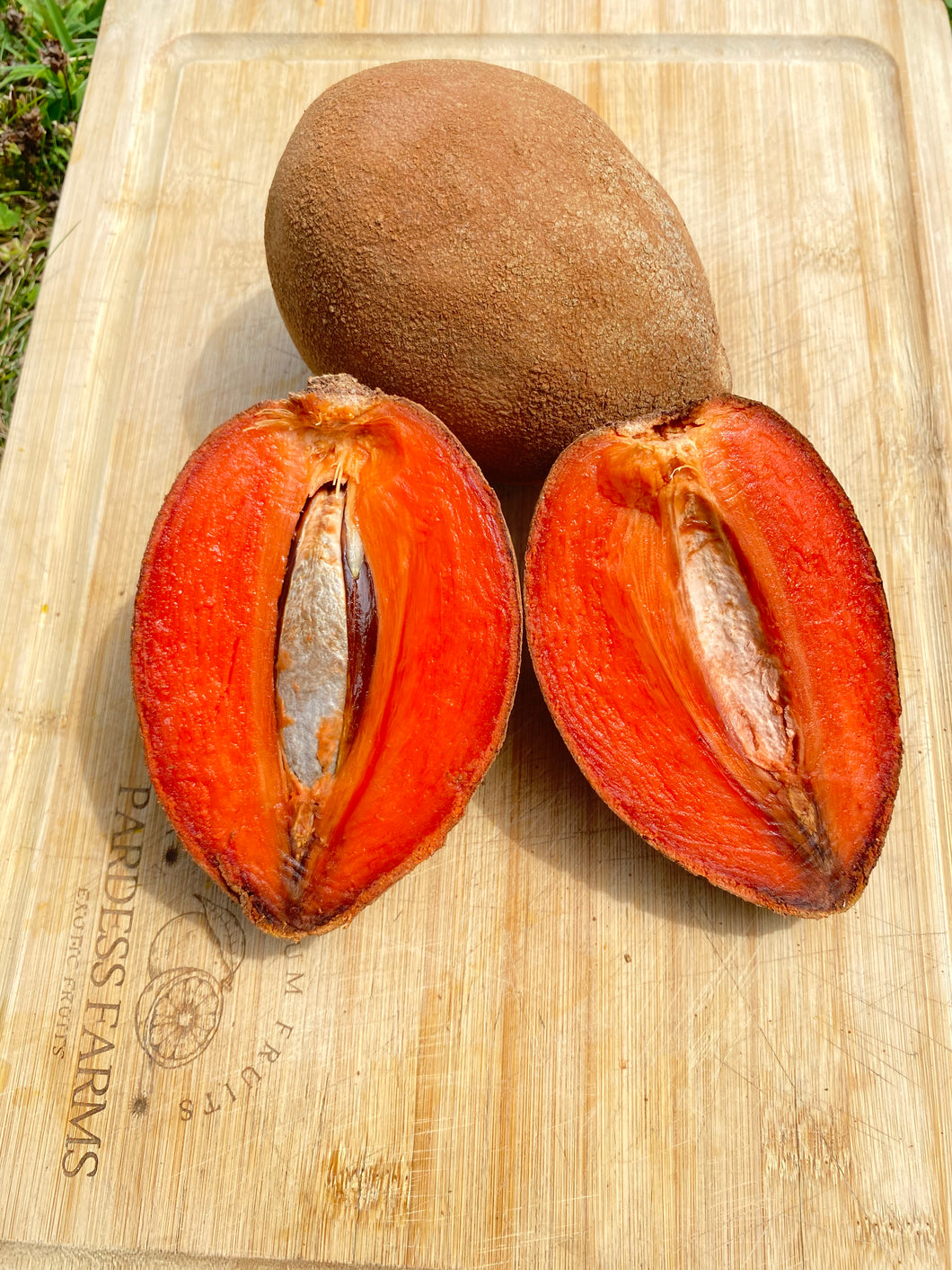 Sapote | Mamey Box