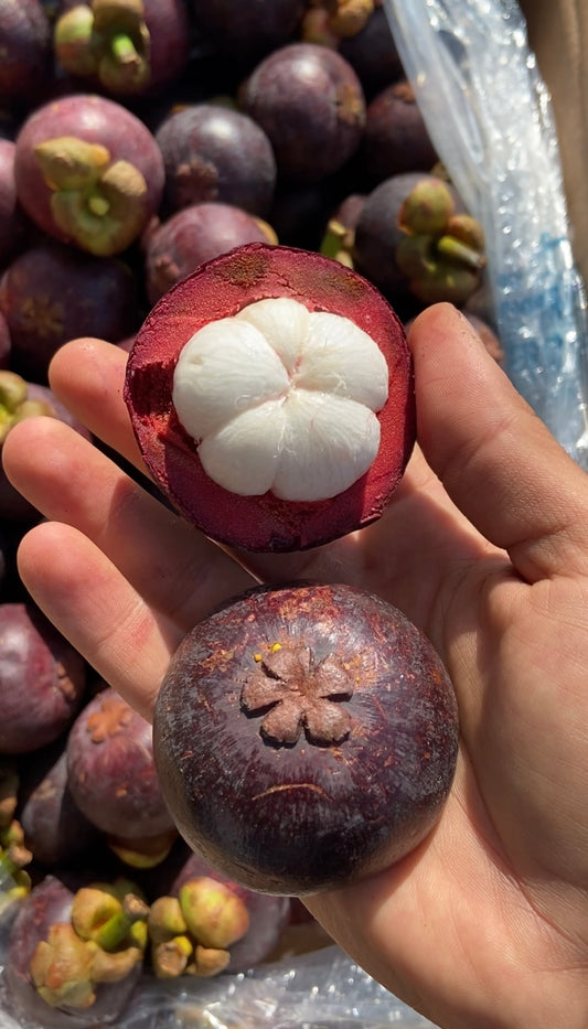 MANGOSTEEN | BOX (2KG)