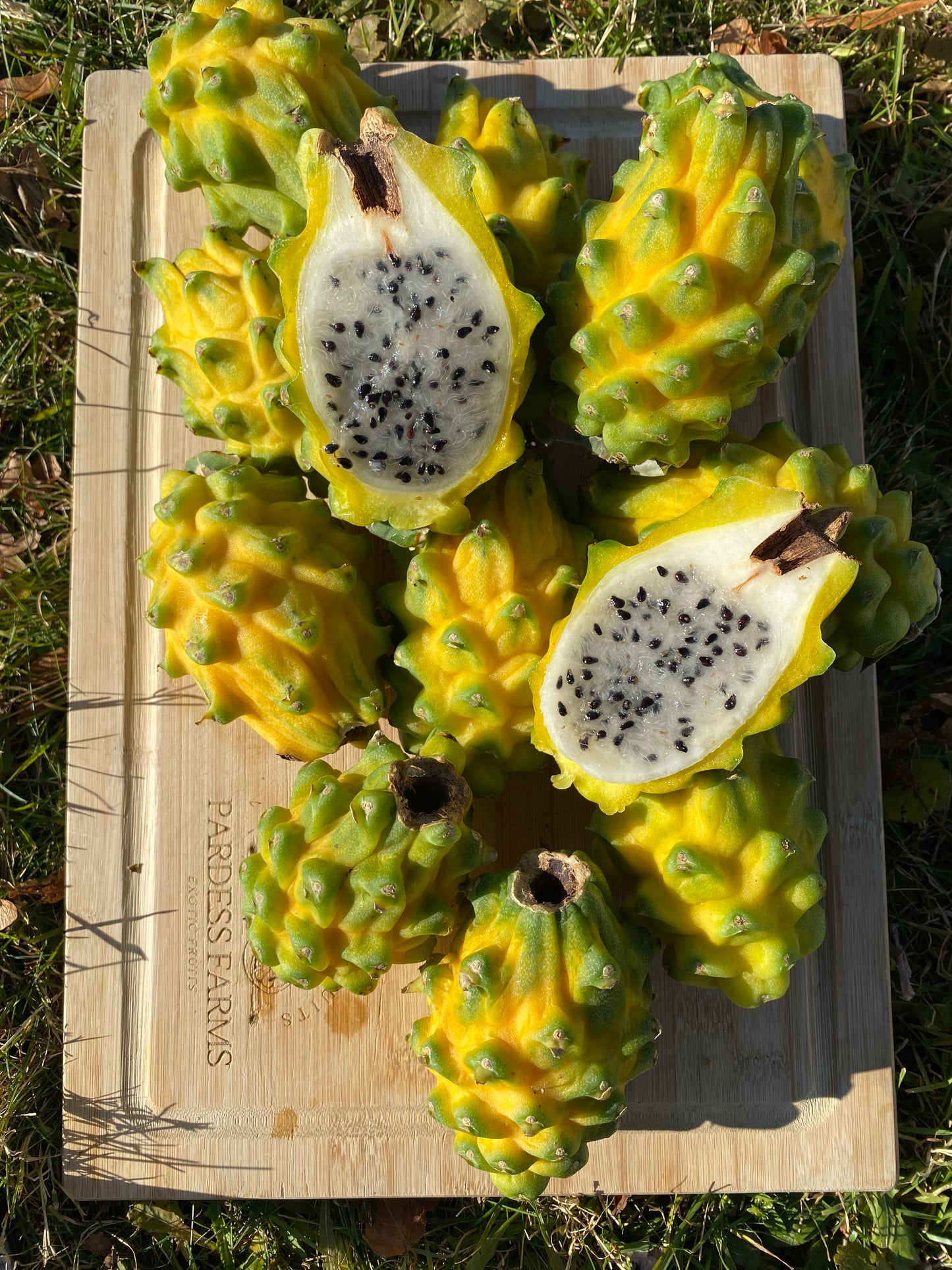 Dragonfruit | Yellow Pitahaya Box - ~2KG 8-15 FRUITS