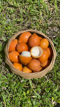 Load image into Gallery viewer, Achachiriu | Bolivian Mangosteen (~2 lbs)
