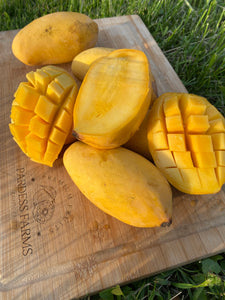 Mango | Pakistani Sindrhi Box of 4-7 mangos