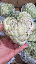 Load image into Gallery viewer, Sugar Apple | Ashta | Annona Squamosa | Egypt | Box 4KG
