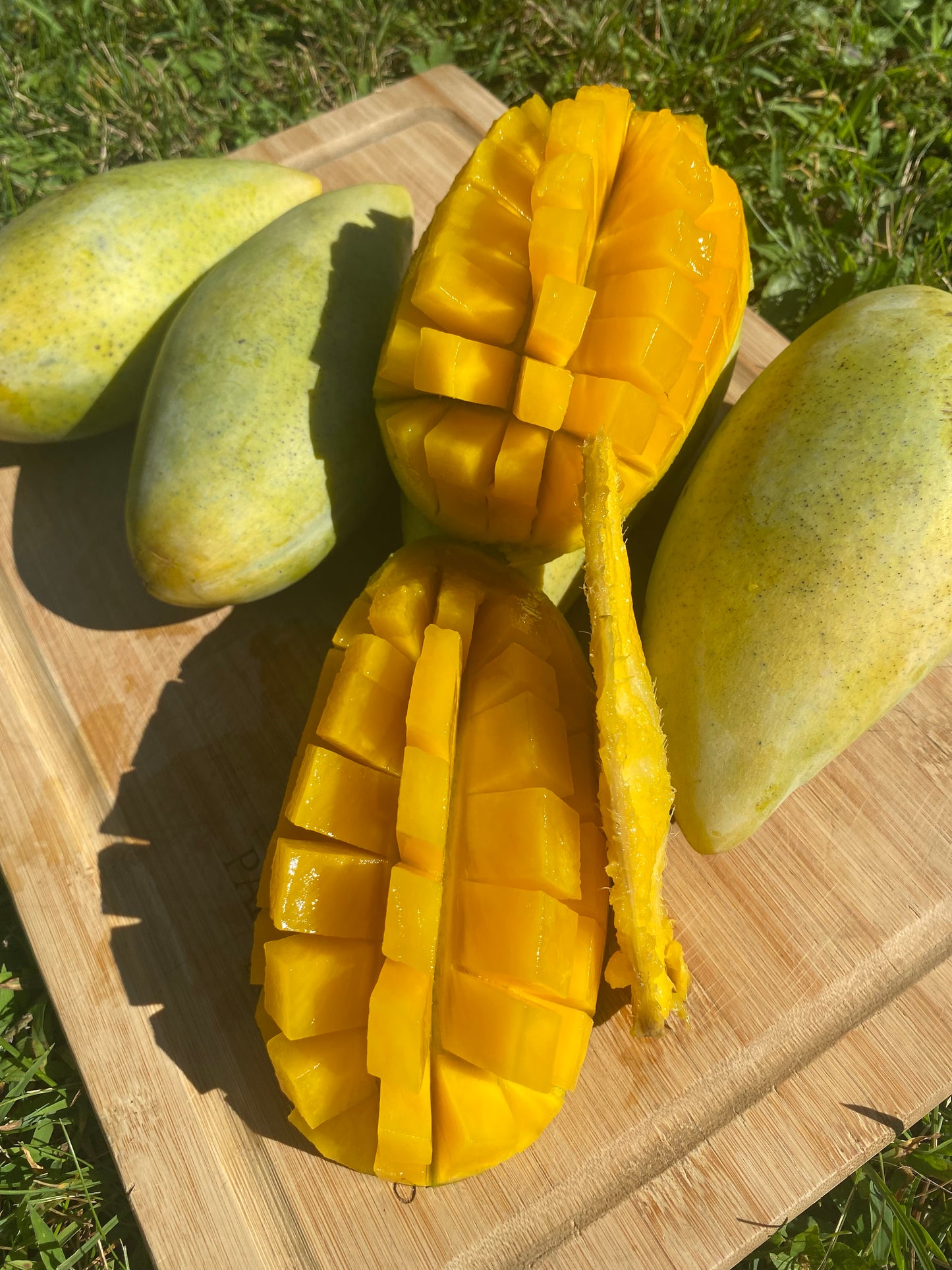 Mango | Nam dok mai | Thailand ~2kg Box (5 - 8 Mangos)