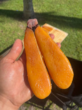 Load image into Gallery viewer, Bottarga | Wild caught Mullet Roe
