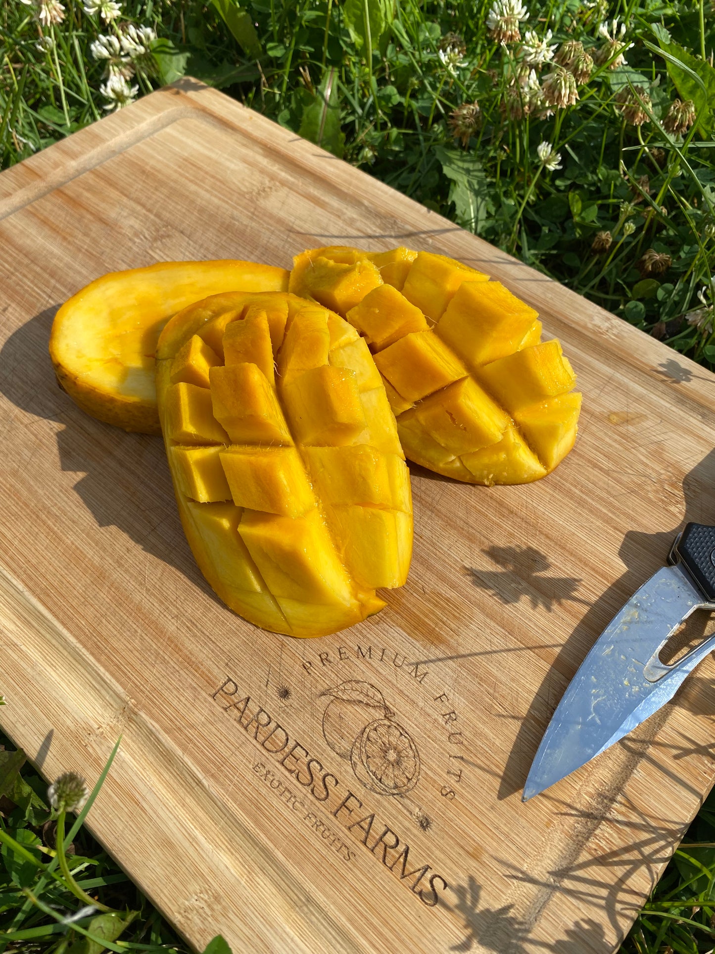 Mango | Pakistani Chaunsa mango Box *Ultra Rare*