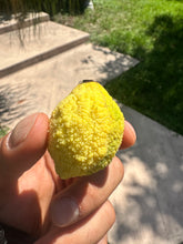 Load image into Gallery viewer, Charichuelo | Madroño Box (~1lb)
