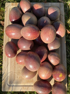 Passionfruit | Purple Pr *New* | Box 2kg (~20-24 Fruits)