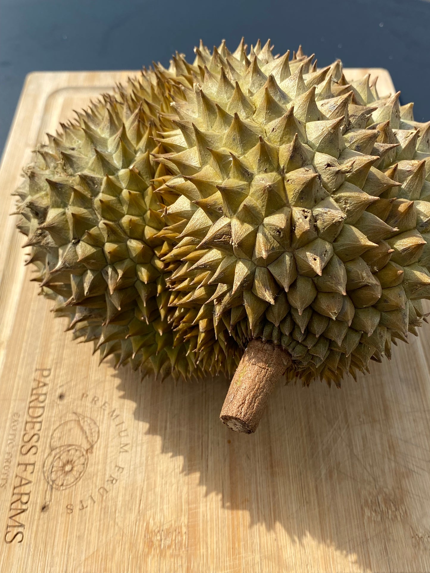 Durian | Fresh Monthong Durian 3-7Lbs