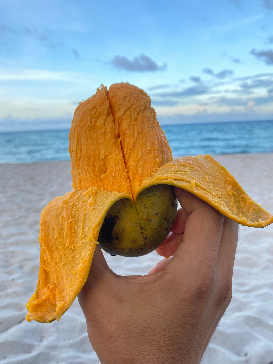 Mango | Mallika  | 4lbs Box