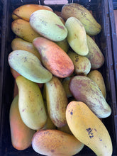 Load image into Gallery viewer, Weekly Mango Box (~3-3.5lbs) 📦 🥭
