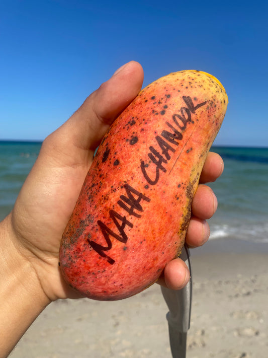 Mango | Maha Chanok | Box (3-3.5lbs)