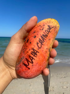 Mango | Maha Chanok | Box (3-3.5lbs)