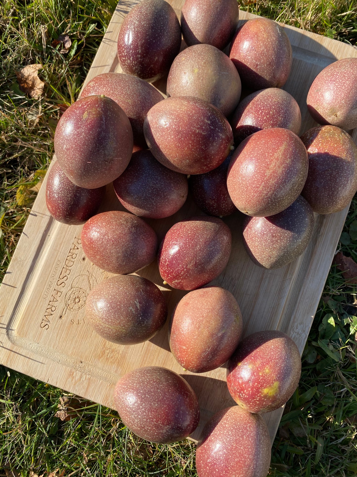 Passionfruit | Purple Pr *New* | Box 2kg (~20-24 Fruits)