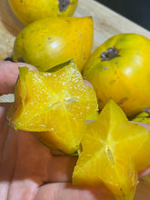 Load image into Gallery viewer, STARFRUIT | FLORIDA BOX  (20-24 FRUITS)
