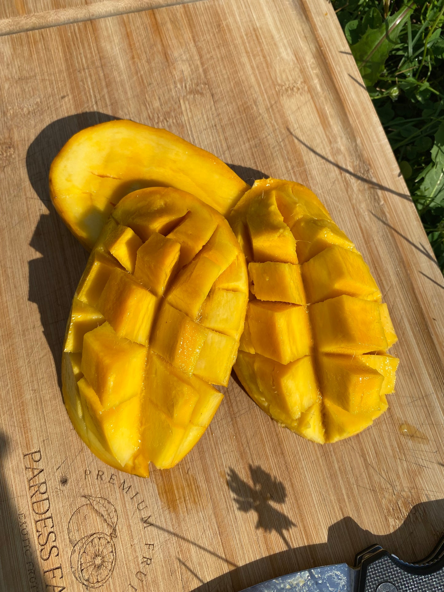 Mango | Pakistani Chaunsa mango Box *Ultra Rare*