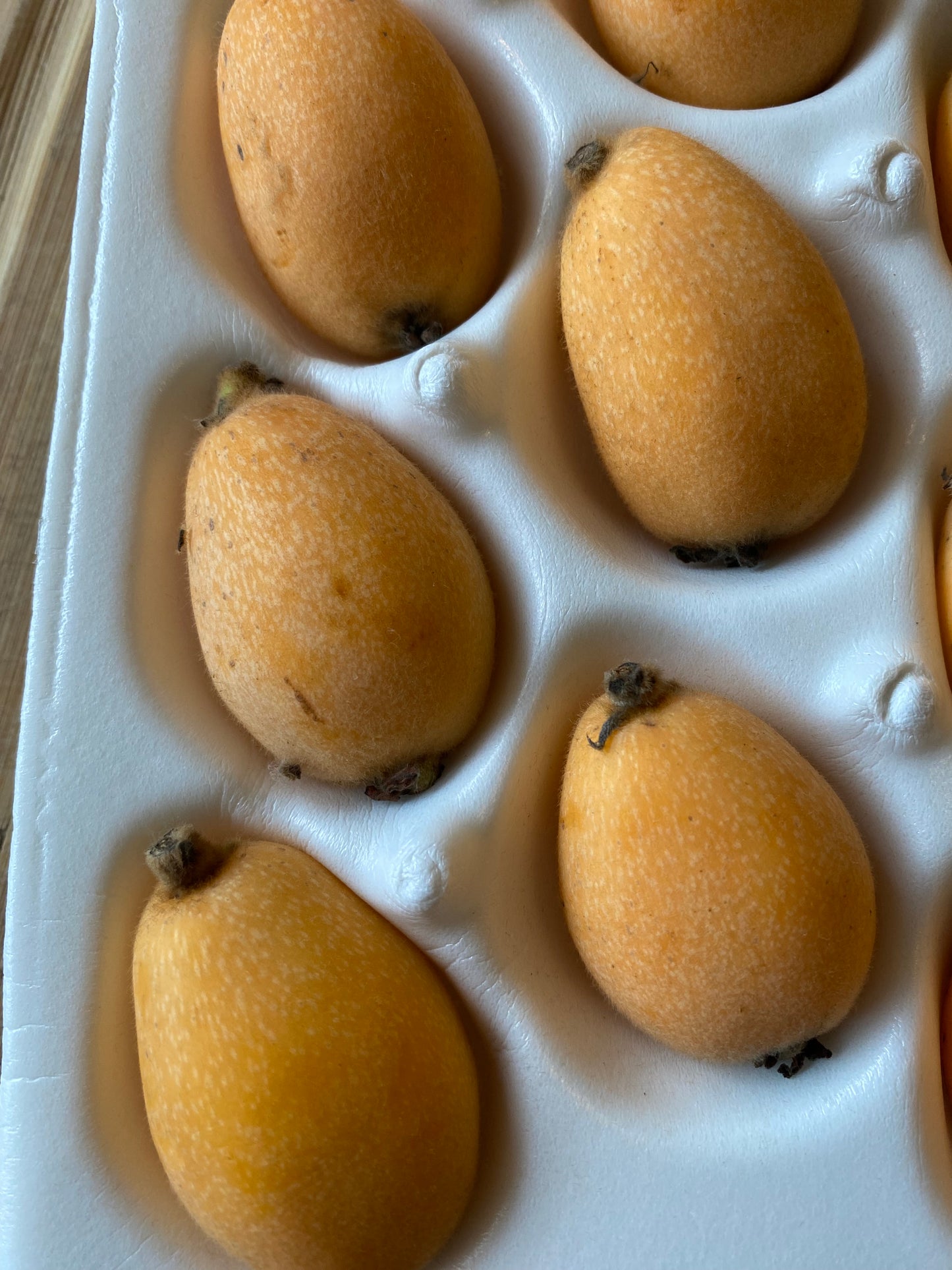 LOQUAT | JAPAN