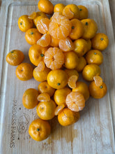 Load image into Gallery viewer, Mandarin | Honey Mandarin Box (~4lbs)
