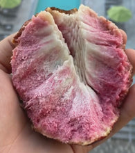 Load image into Gallery viewer, RED CUSTARD APPLE SAN PABLO (BOX 2.5-3LBS)
