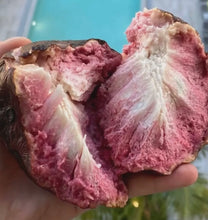 Load image into Gallery viewer, RED CUSTARD APPLE SAN PABLO (BOX 2.5-3LBS)
