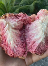Load image into Gallery viewer, RED CUSTARD APPLE SAN PABLO (BOX 2.5-3LBS)
