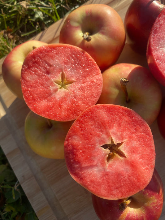 Apple | Hidden Rose Apple Box