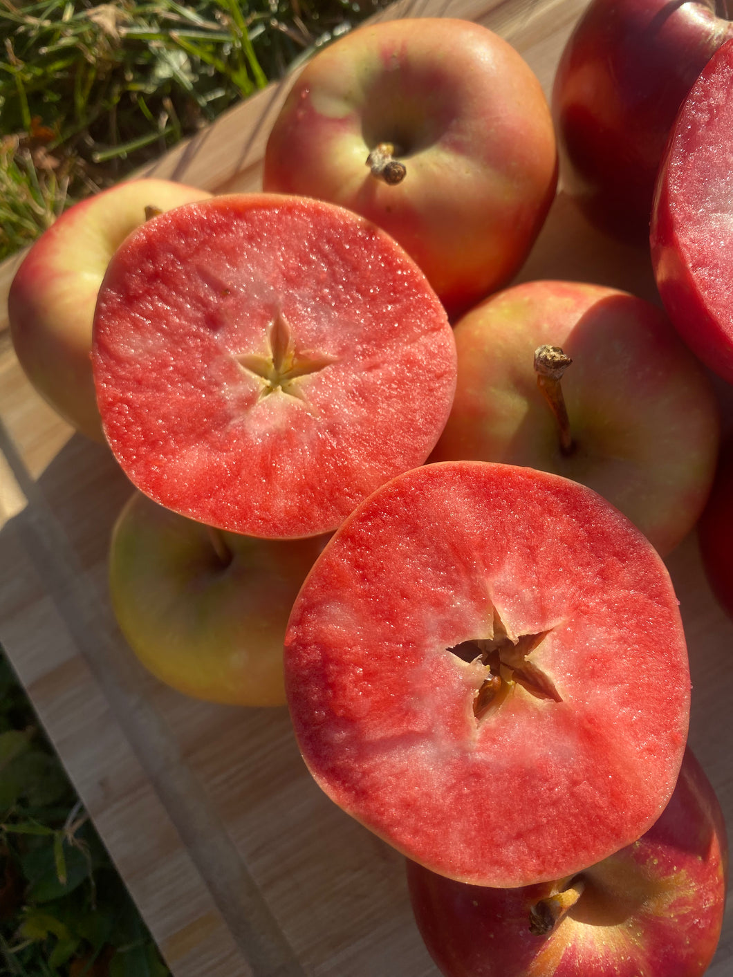 Apple | Hidden Rose Apple Box of (12-18 Fruits)