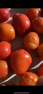 Jocote | Ciruela | Hog Plum (2lbs)