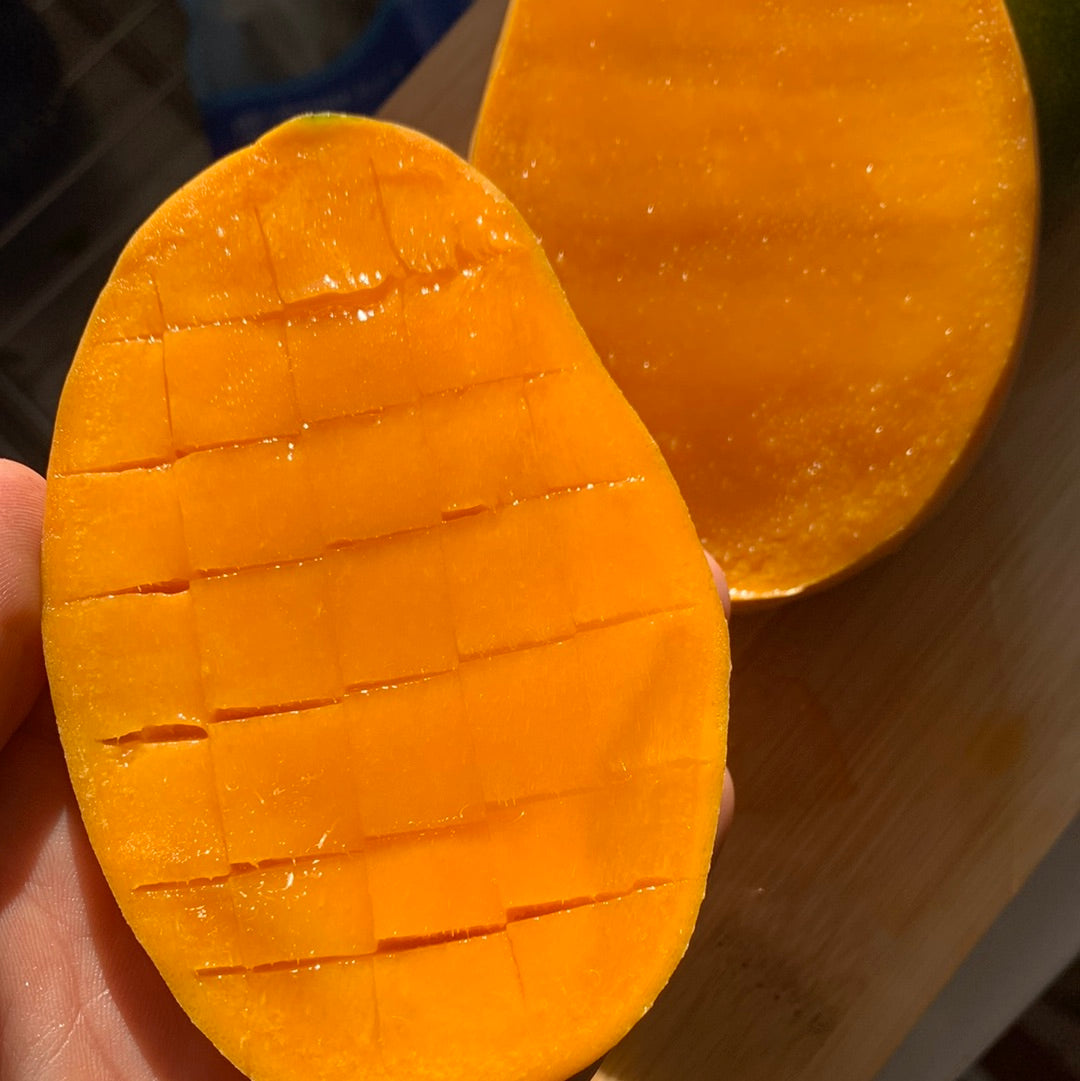 Mango | Mingolo Dominican Republic | Box - 4KG (8-16 Mangos)