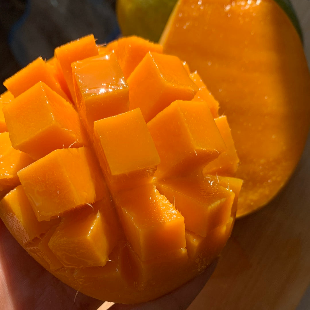 Mango | Mingolo Dominican Republic | Box - 4KG (8-16 Mangos)