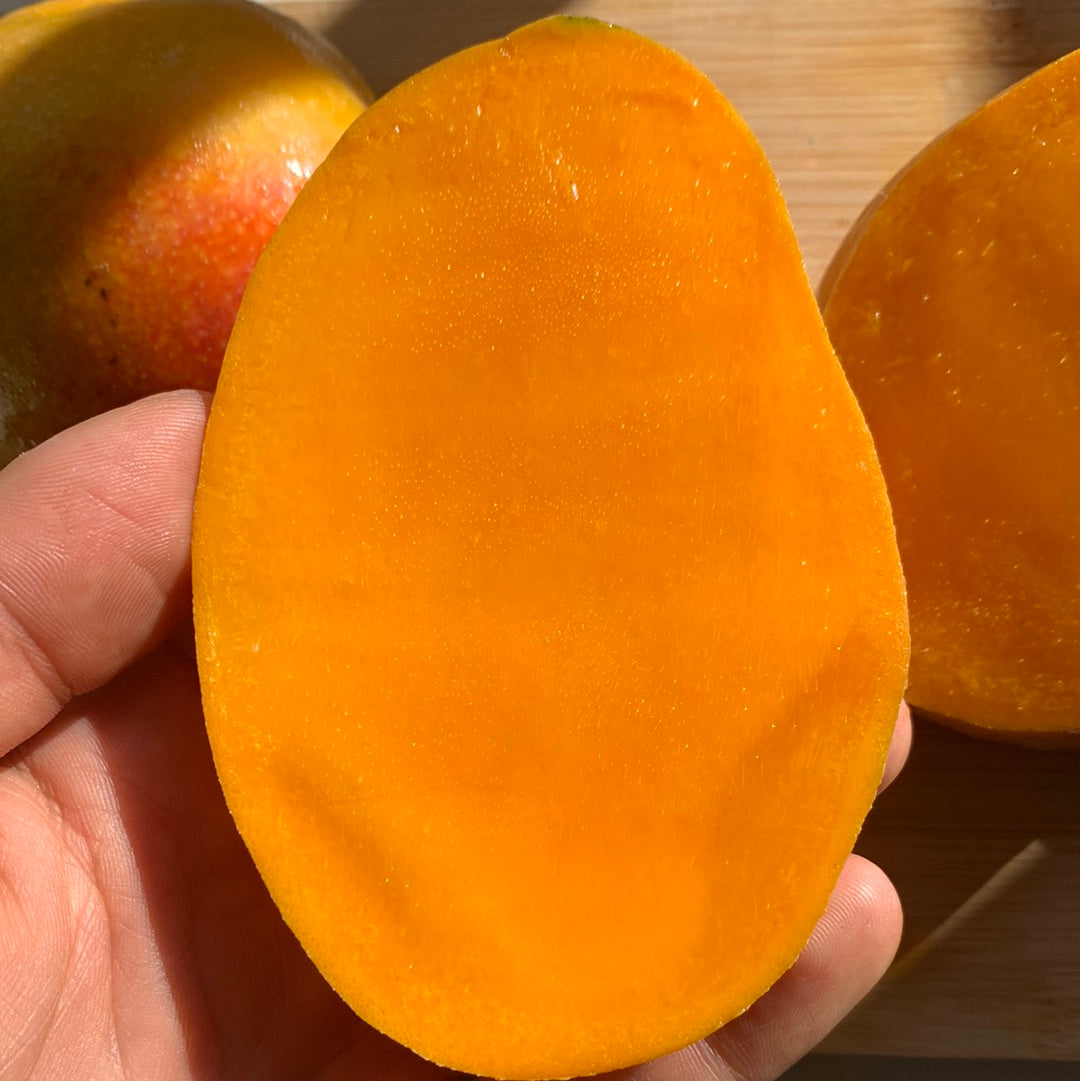 Mango | Mingolo Dominican Republic | Box - 4KG (8-16 Mangos)