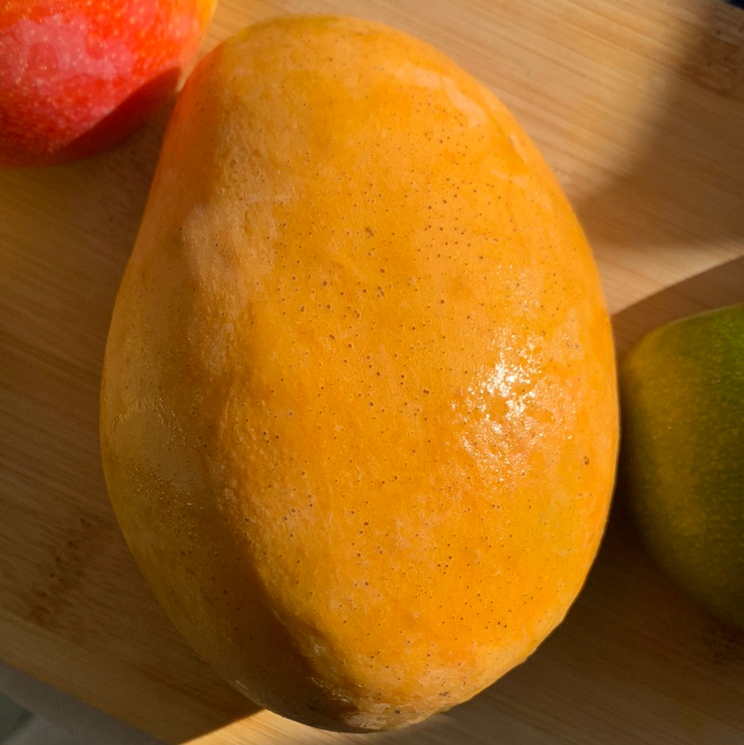 Mango | Mingolo Dominican Republic | Box - 4KG (8-16 Mangos)