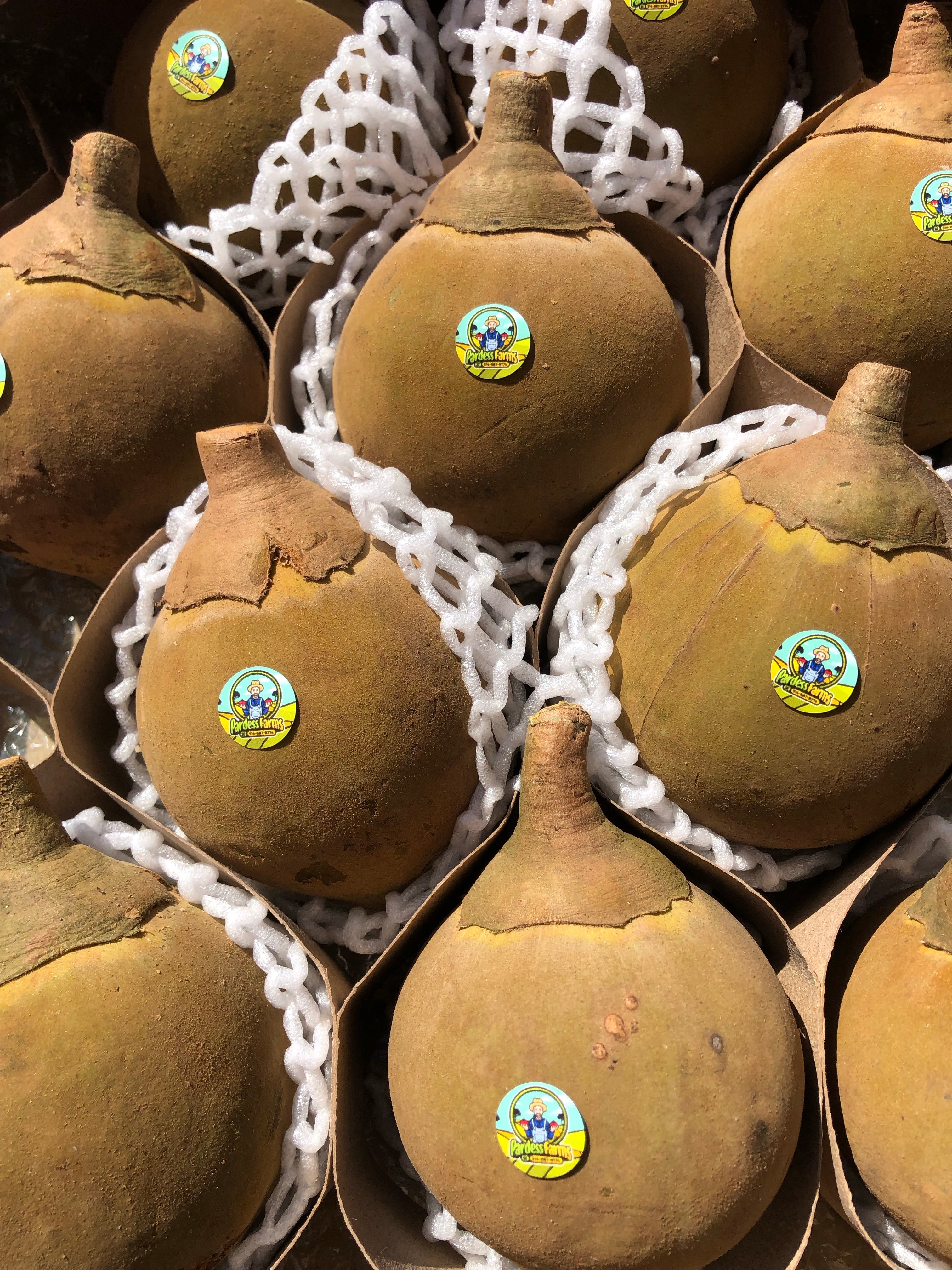 Zapote | Chupa Chupa (Quararibea cordata) Box ~1.5kg (5-7 Fruits