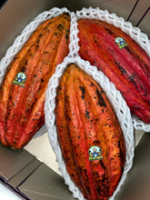 Load image into Gallery viewer, CACAO CHOCOLATE | 2 PODS
