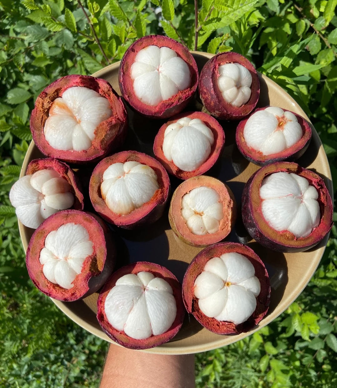 MANGOSTEEN | BOX (2KG)