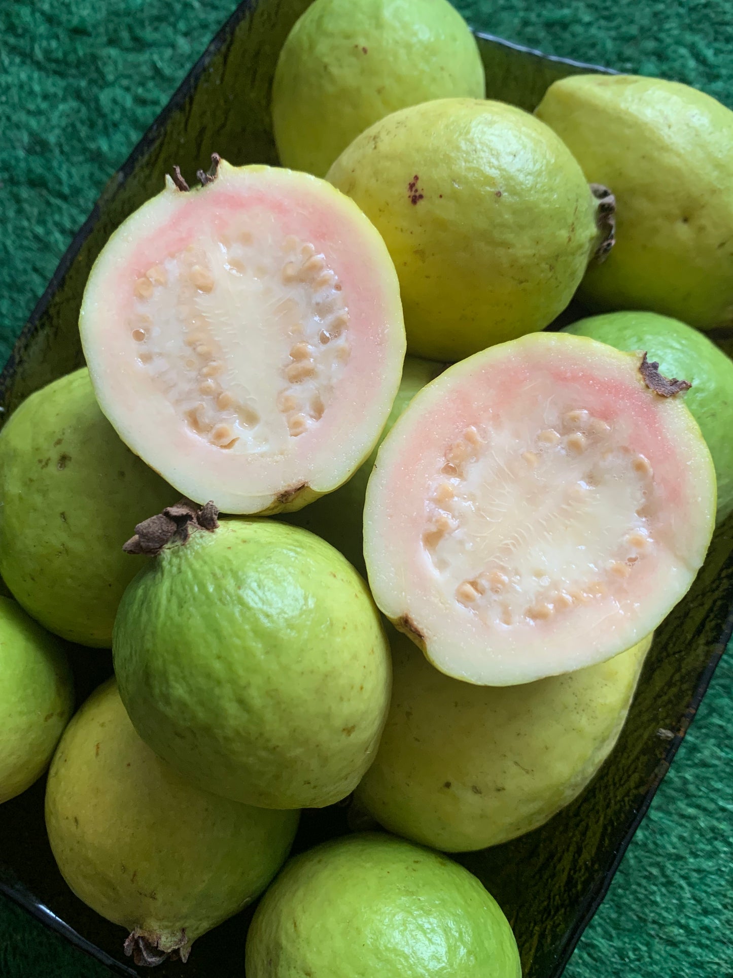 GUAVA | MEXICAN GUAVA (~3 LBS)