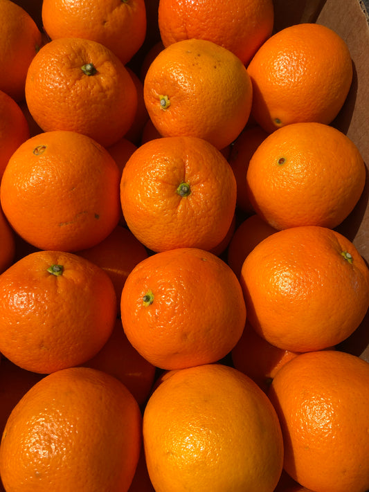 ORANGE | PINK CARA CARA (5 FRUITS)