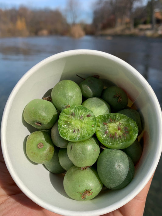 KIWI BERRIES ~2LBS (1x2 LARGE BOXES)