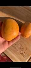 Load image into Gallery viewer, GUAYANA | SPICE MANGO (2 KG RIPE)
