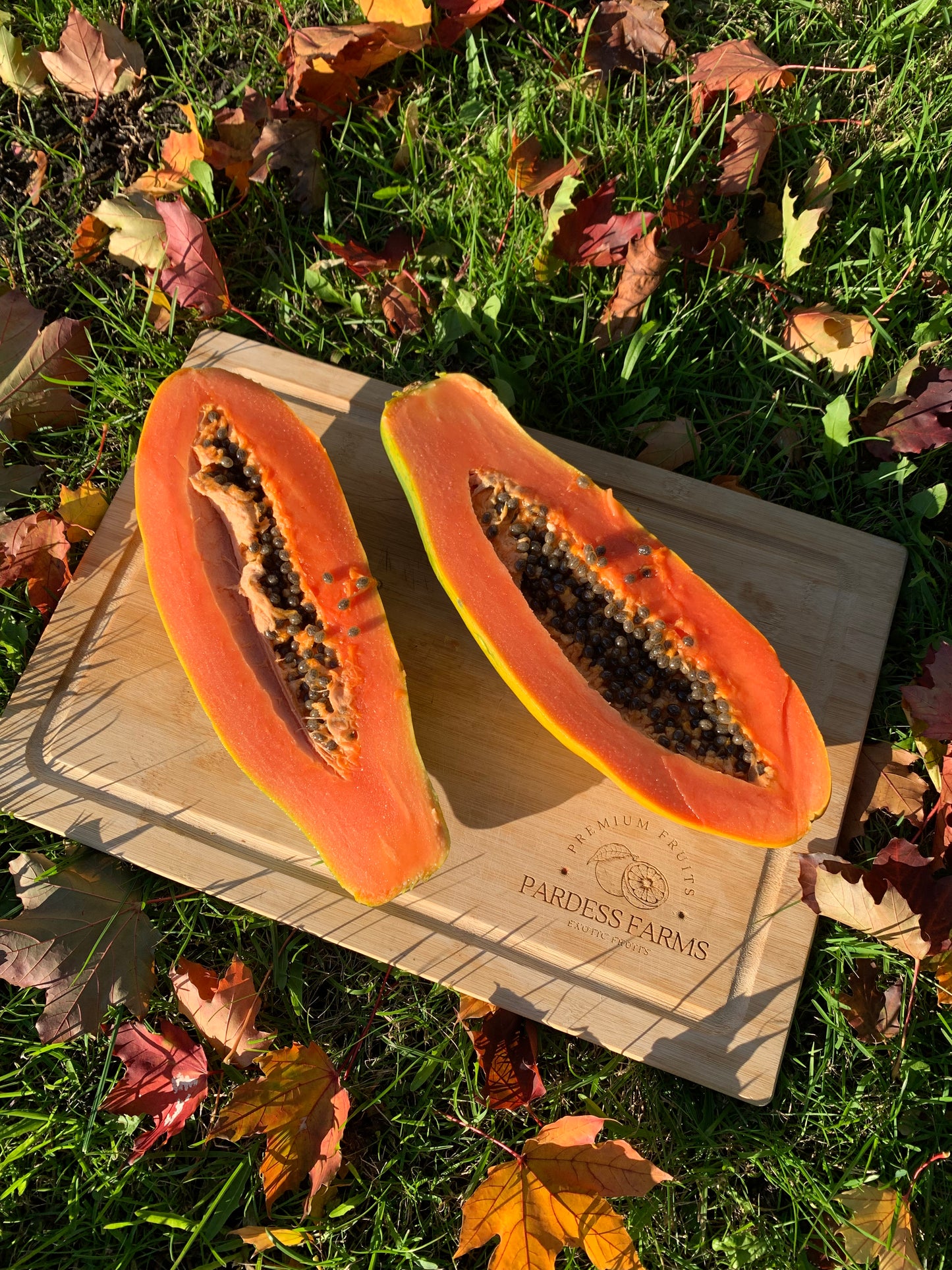 PAPAYA | BOX