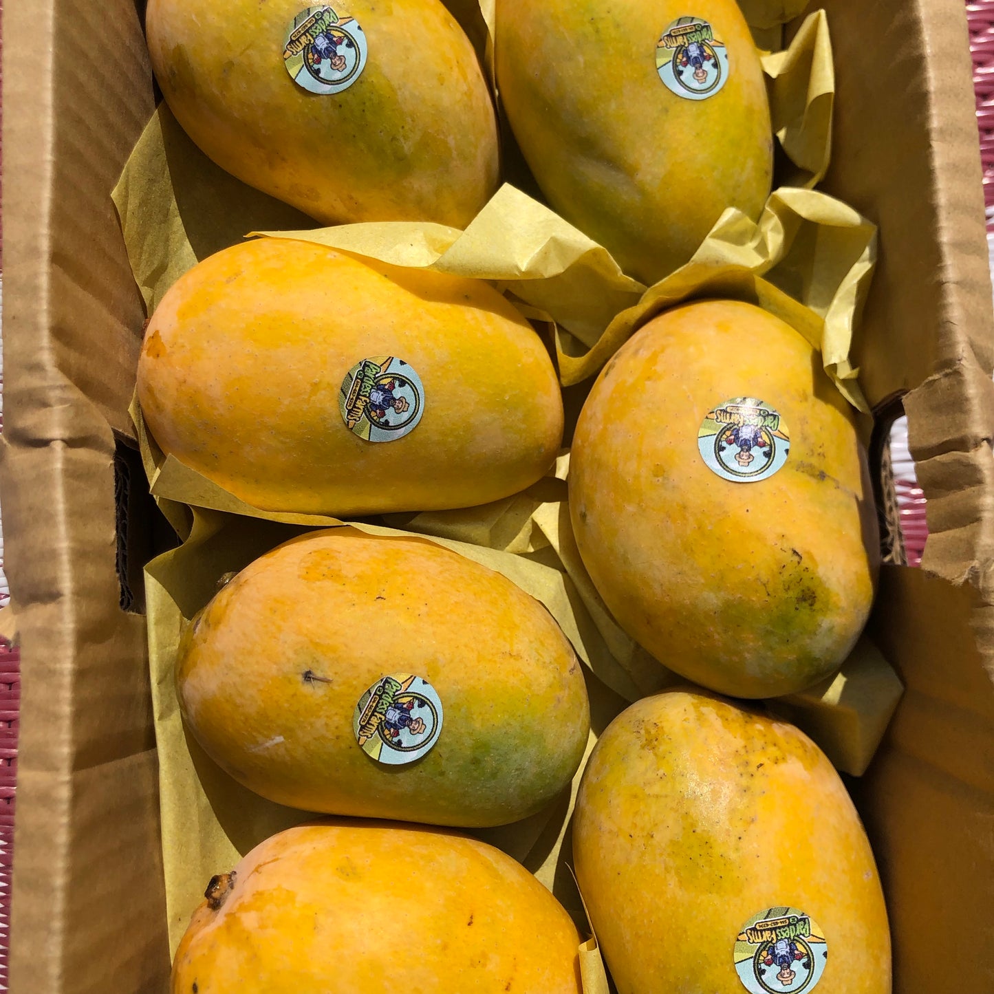 Mango | Pakistani Chaunsa mango Box *Ultra Rare*